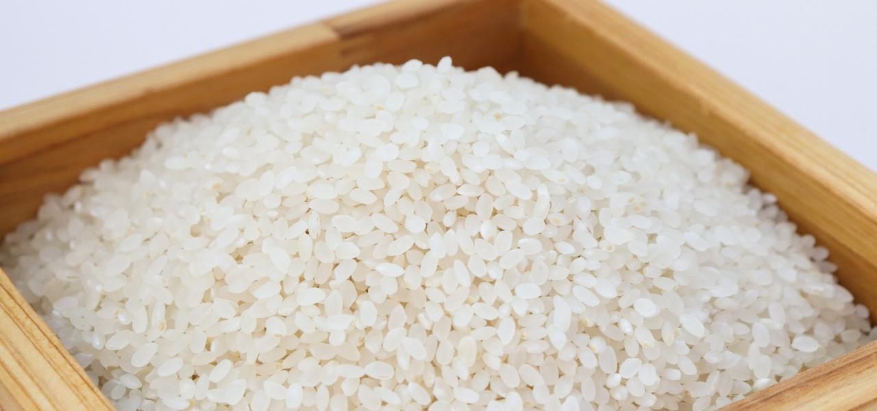 Ciotola di riso 